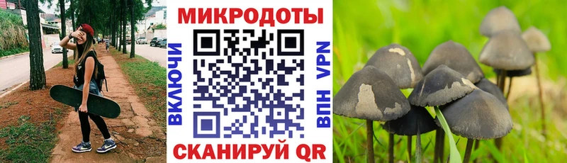 Купить  Новый Оскол  Псилоцибиновые грибы мицелий 